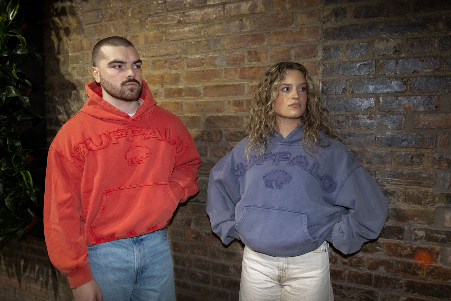 Distressed Hoodie - BY100